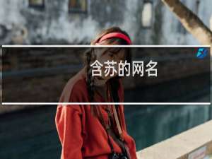 含苏的网名