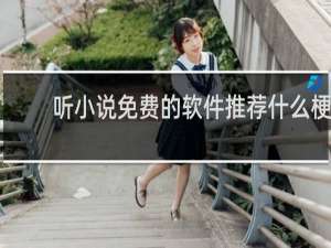 听小说免费的软件推荐什么梗