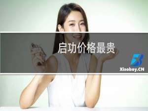 启功价格最贵