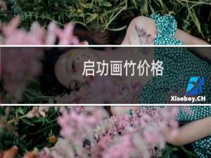 启功画竹价格