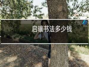 启骧书法多少钱