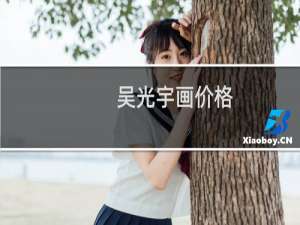 吴光宇画价格