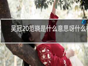 吴冠 范晓是什么意思呀什么梗