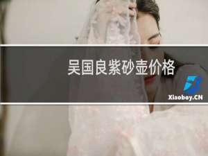 吴国良紫砂壶价格