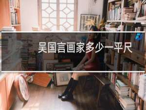 吴国言画家多少一平尺