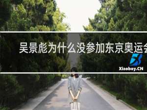 吴景彪为什么没参加东京奥运会
