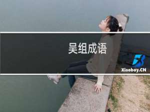 吴组成语