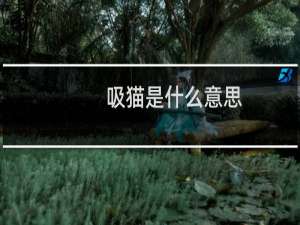 吸猫是什么意思（什么叫吸猫给我解释一下）