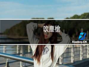 吹塵槍.com(IDN)(DNS域名) 缺少管理界面