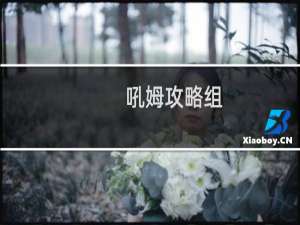 吼姆攻略组