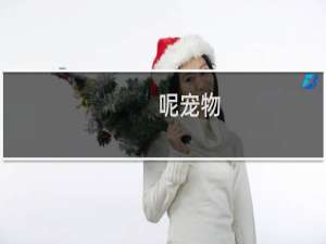 呢宠物