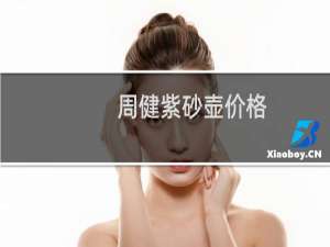 周健紫砂壶价格