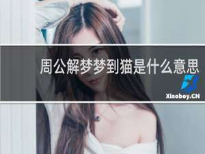周公解梦梦到猫是什么意思