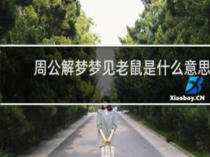 周公解梦梦见老鼠是什么意思
