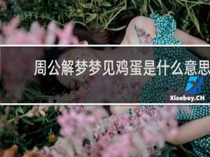 周公解梦梦见鸡蛋是什么意思
