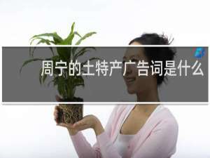 周宁的土特产广告词是什么