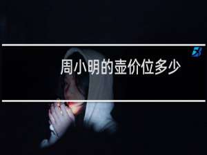 周小明的壶价位多少