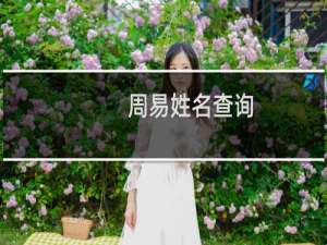 周易姓名查询