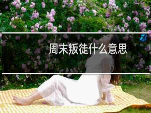 周末叛徒什么意思？什么梗