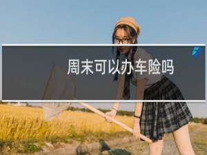 周末可以办车险吗