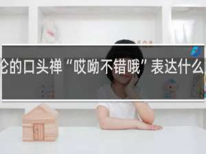 周杰伦的口头禅“哎呦不错哦”表达什么意思什么梗