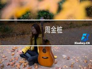 周金桩