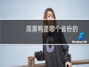 周黑鸭是哪个省份的（周黑鸭是哪个省出来的）