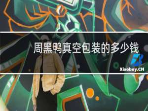 周黑鸭真空包装的多少钱