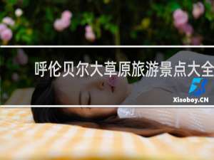 呼伦贝尔大草原旅游景点大全