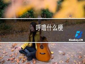 呼噜什么梗
