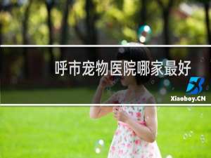 呼市宠物医院哪家最好