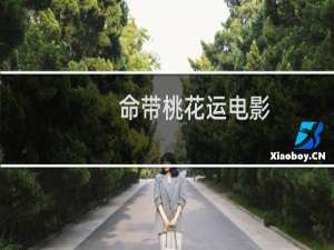 命带桃花运电影