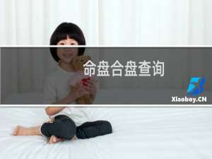 命盘合盘查询