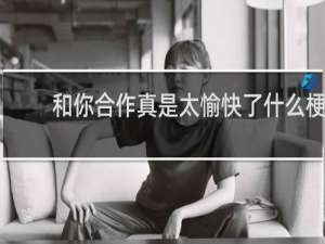 和你合作真是太愉快了什么梗