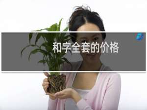 和字全套的价格