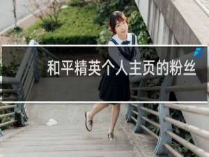 和平精英个人主页的粉丝是什么