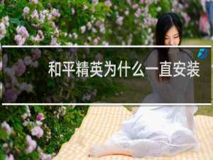 和平精英为什么一直安装不上(为什么和平精英安装很久)