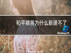 和平精英为什么新建不了个人信息