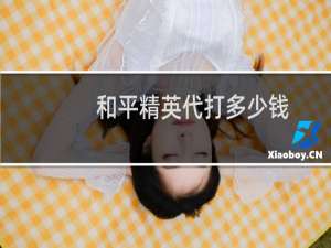 和平精英代打多少钱(和平精英代打一般都是多少钱)