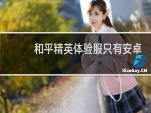 和平精英体验服只有安卓可以玩吗