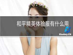 和平精英体验服有什么用