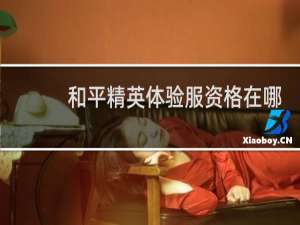和平精英体验服资格在哪里获得