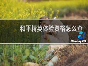 和平精英体验资格怎么查询(如何申请和平精英体验服资格)