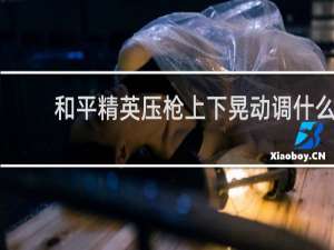 和平精英压枪上下晃动调什么