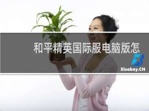 和平精英国际服电脑版怎么下载教程