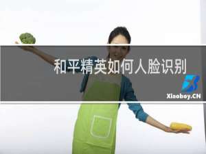 和平精英如何人脸识别