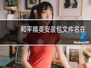 和平精英安装包文件名在哪个地方