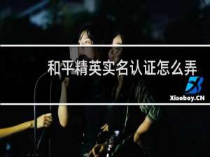 和平精英实名认证怎么弄(和平精英实名认证怎么弄苹果手机微信)