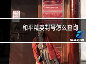 和平精英封号怎么查询(和平精英封号怎么查询原因)