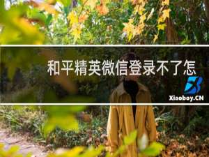 和平精英微信登录不了怎么办